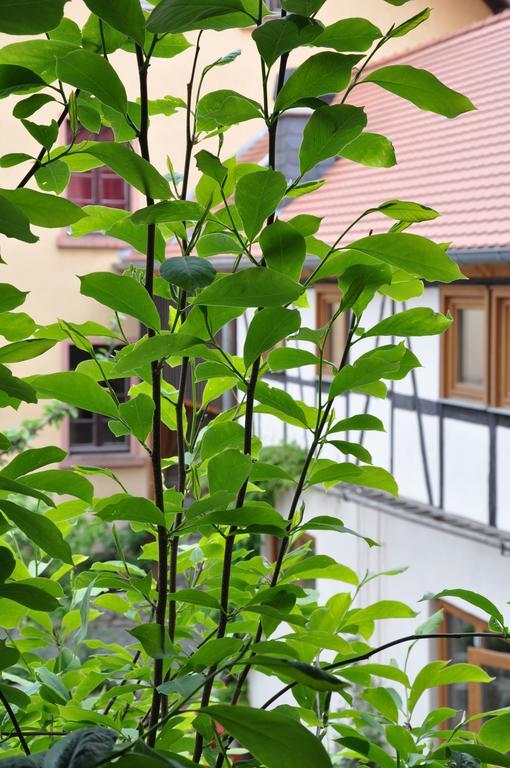 Gastezimmer Am Hof Φραγκφούρτη Εξωτερικό φωτογραφία